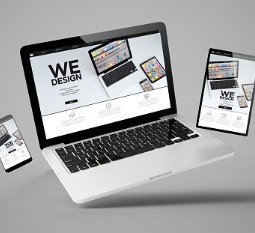 Website Designers Tampa FL